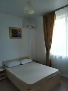 Элефант - 43