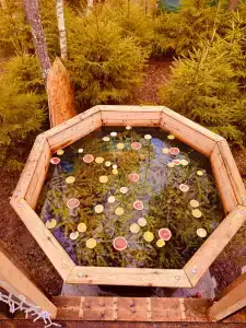 Лесная сказка - 112