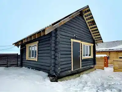 Медведи - 4