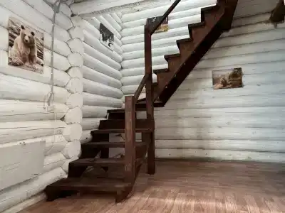 Медведи - 13