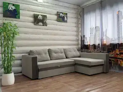 Медведи - 11