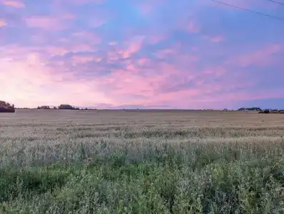 Кибольские соловьи - 68