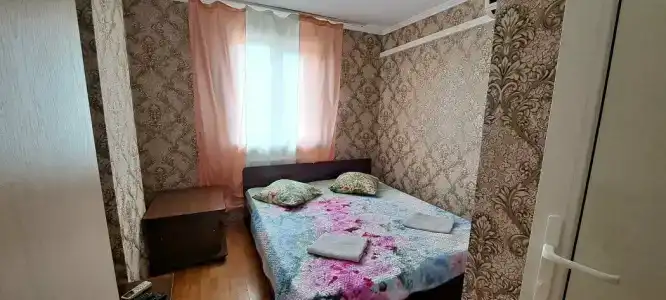 Алиса - 48