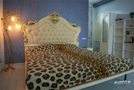 Славутич - 289