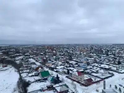 Обской возле Толмачево - 51