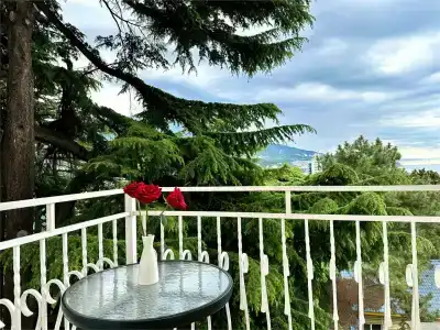 Империал 2011 - 242