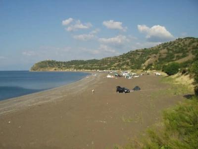 Зеленогорье - 110