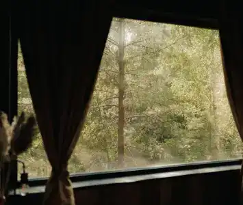 Магия леса - 141