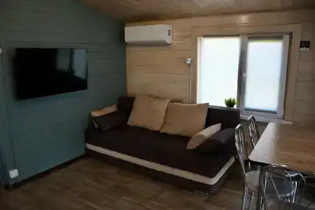 Жар-Птица - 80