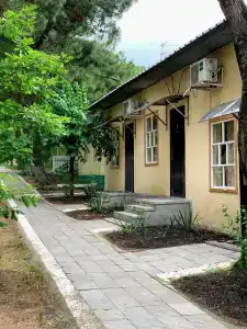 Лаванда - 81