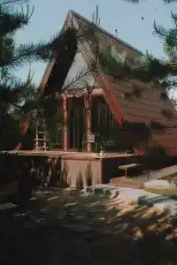 Forest camp - 60