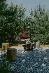 Forest camp - 61