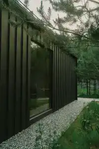Forest camp - 52