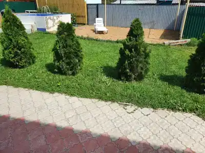 Лилия4 - 48