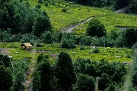 Нахазо - 51