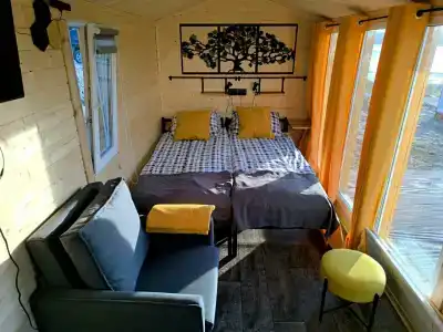 Ёлки-Ладога - 51