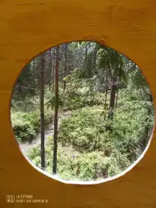 Парк Ладога - 67
