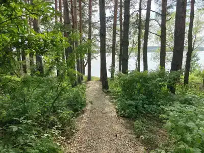 Сосновый берег - 47