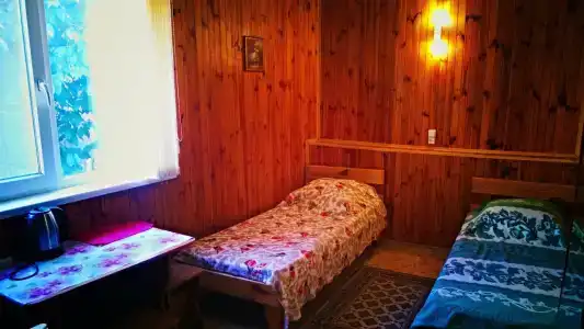 Амадей - 50