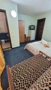 Тимора - 36