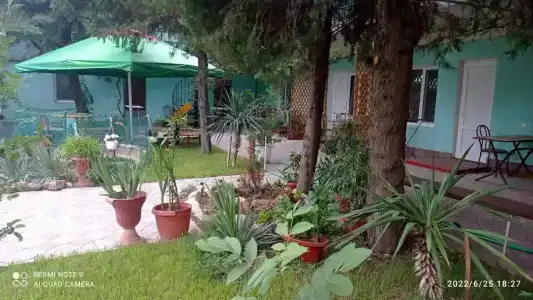 Сказочный - 91