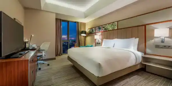 Hilton Garden Inn Istanbul Atatürk Airport - 101