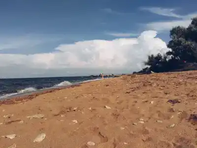 Замок грез - 155