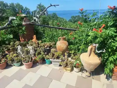 Замок грез - 173