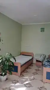 Сосна и Пальмы - 57
