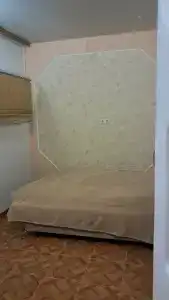 Сосна и Пальмы - 49