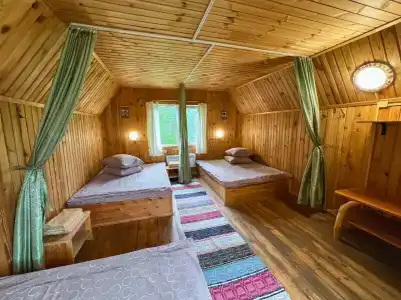 Берендеев лес - 50
