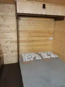 Астра - 50
