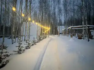 Треугольный домик в лесу с горячей купелью - 55