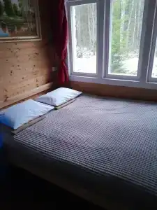Астра - 38
