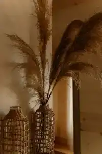 Rent. hut - 150