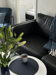 ApartFaber - 74