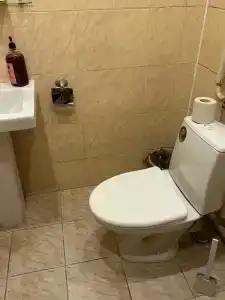 Золотой скорпион - 110