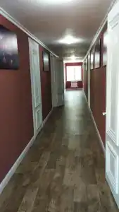 Рыжий лис - 14