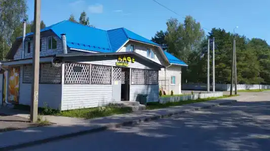 Рыжий лис - 22