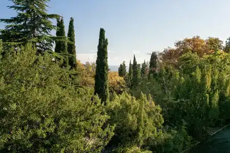 Юго-славия - 82