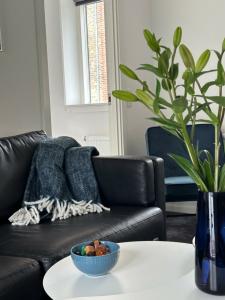ApartFaber - 116
