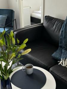 ApartFaber - 126