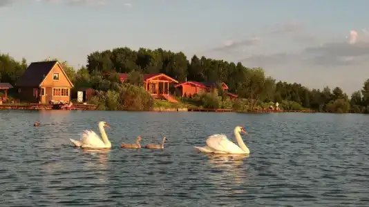 Алешкины пруды - 59