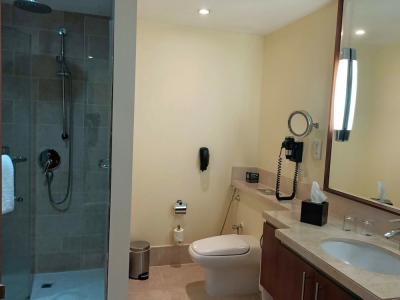 Ramada Downtown Dubai - 59