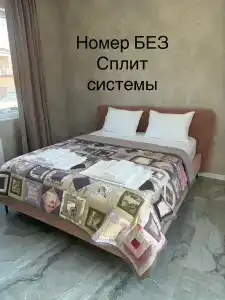 Кедр - 50