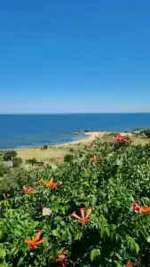 Замок грез - 246