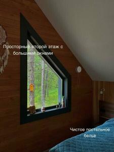 В лесу как дома - 56
