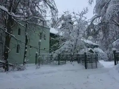 Общежитие - 24