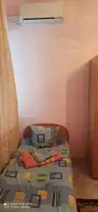 Сосновый бор - 22