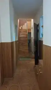 Сосна и Пальмы - 47